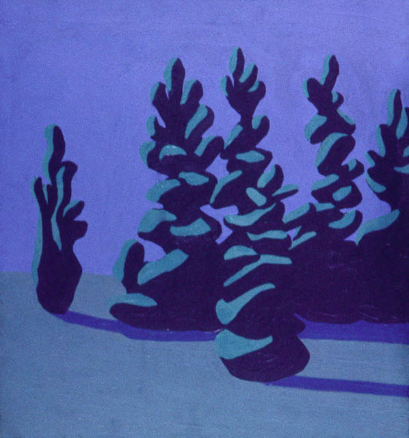 Copse of Spruce
