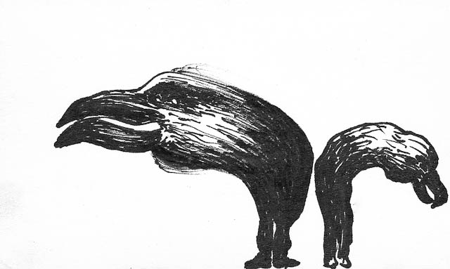 Flightless Birds